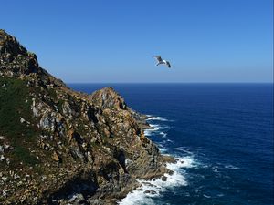 Preview wallpaper coast, rocks, bird, sea, landscape