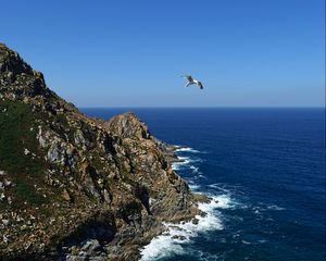 Preview wallpaper coast, rocks, bird, sea, landscape