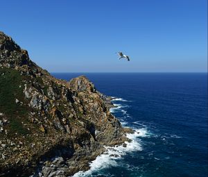 Preview wallpaper coast, rocks, bird, sea, landscape