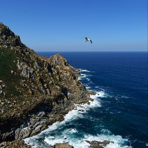 Preview wallpaper coast, rocks, bird, sea, landscape