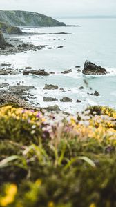 Preview wallpaper coast, rocks, sea, cliff, flowers