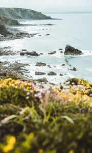 Preview wallpaper coast, rocks, sea, cliff, flowers