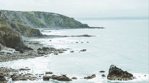 Preview wallpaper coast, rocks, sea, cliff, flowers