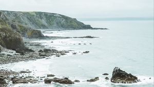 Preview wallpaper coast, rocks, sea, cliff, flowers