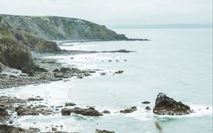 Preview wallpaper coast, rocks, sea, cliff, flowers