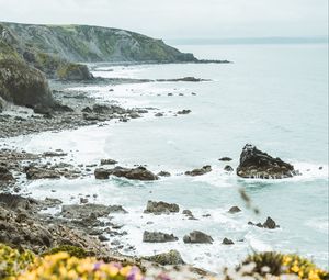 Preview wallpaper coast, rocks, sea, cliff, flowers