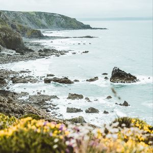 Preview wallpaper coast, rocks, sea, cliff, flowers