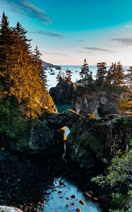 Preview wallpaper coast, rocks, trees, landscape, aerial view