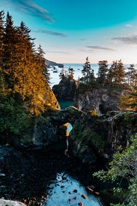 Preview wallpaper coast, rocks, trees, landscape, aerial view