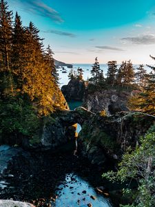 Preview wallpaper coast, rocks, trees, landscape, aerial view