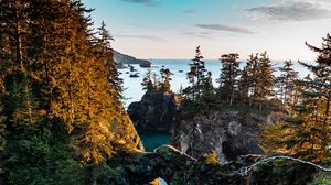 Preview wallpaper coast, rocks, trees, landscape, aerial view