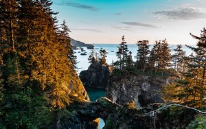 Preview wallpaper coast, rocks, trees, landscape, aerial view