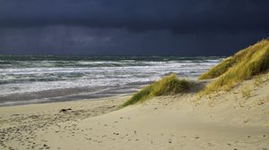 Preview wallpaper coast, sand, beach, sea, grass