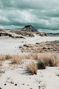 Preview wallpaper coast, sand, grass, hill, rock