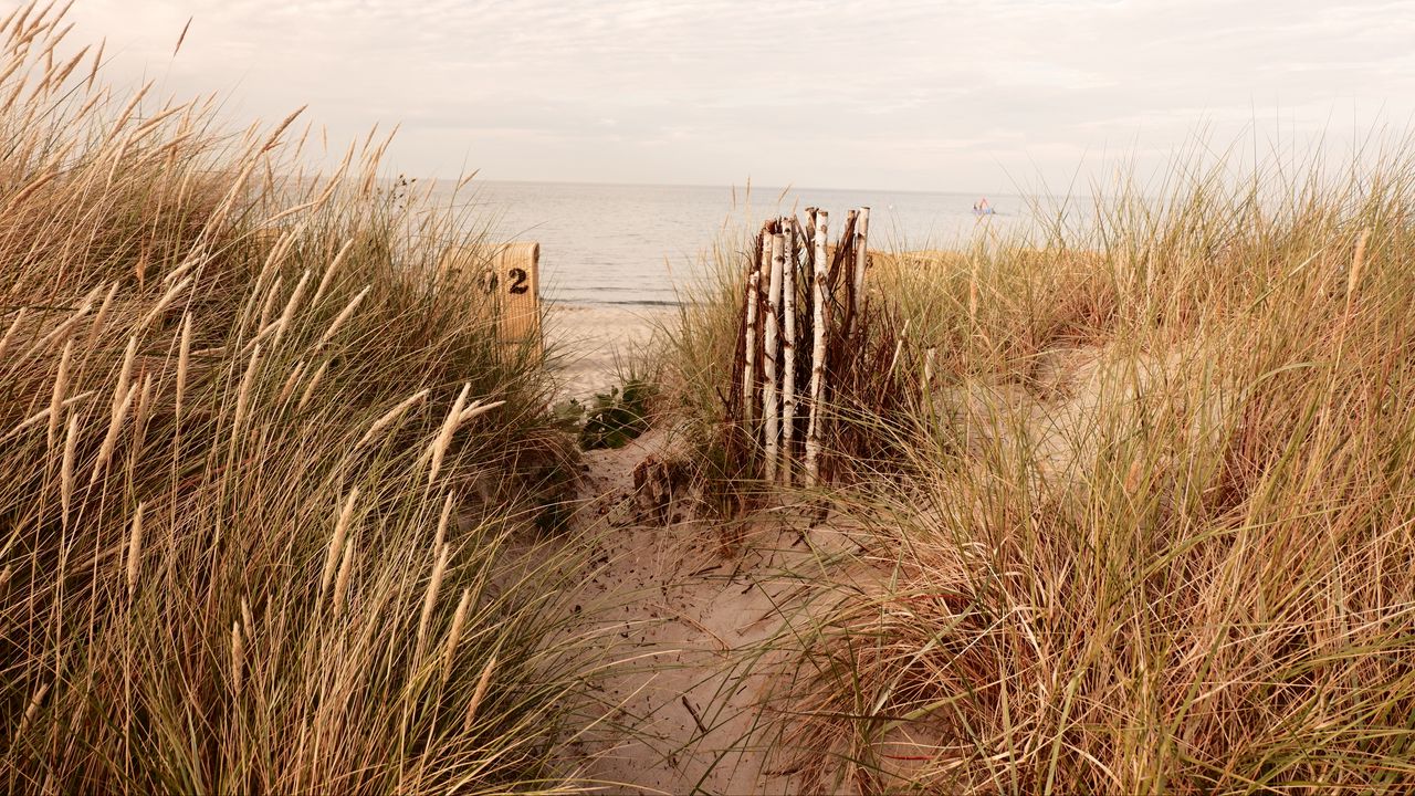 Wallpaper coast, sand, grass, sea, nature