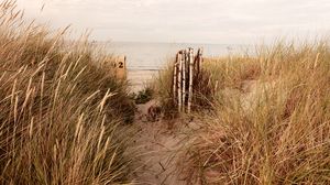 Preview wallpaper coast, sand, grass, sea, nature