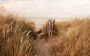 Preview wallpaper coast, sand, grass, sea, nature