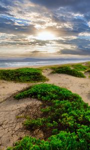 Preview wallpaper coast, sand, plants, sea, clouds, nature