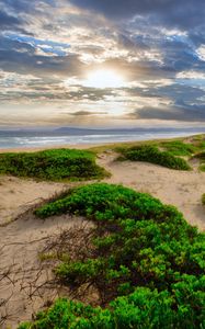 Preview wallpaper coast, sand, plants, sea, clouds, nature