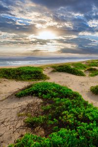 Preview wallpaper coast, sand, plants, sea, clouds, nature