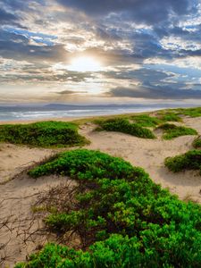 Preview wallpaper coast, sand, plants, sea, clouds, nature