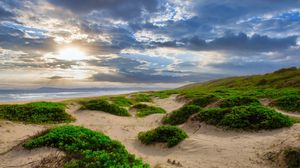 Preview wallpaper coast, sand, plants, sea, clouds, nature