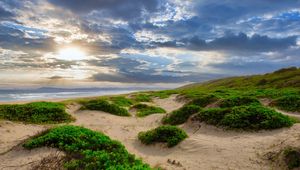 Preview wallpaper coast, sand, plants, sea, clouds, nature