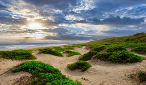 Preview wallpaper coast, sand, plants, sea, clouds, nature