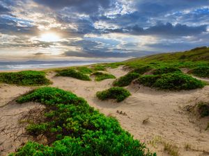 Preview wallpaper coast, sand, plants, sea, clouds, nature