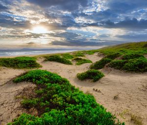 Preview wallpaper coast, sand, plants, sea, clouds, nature