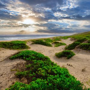 Preview wallpaper coast, sand, plants, sea, clouds, nature