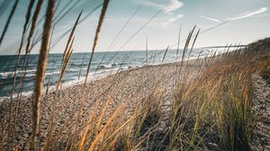 Preview wallpaper coast, sand, sea, grass, nature