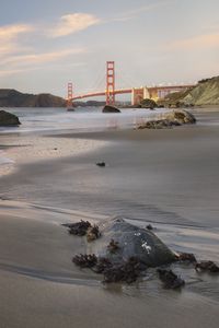 Preview wallpaper coast, sand, stones, sea, bridge