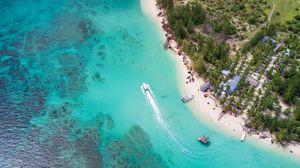 Preview wallpaper coast, sea, beach, trees, aerial view