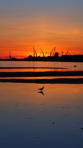 Preview wallpaper coast, sea, bird, silhouette, dawn, dark