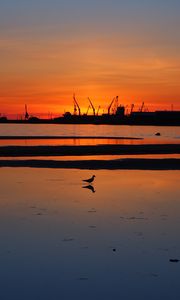 Preview wallpaper coast, sea, bird, silhouette, dawn, dark