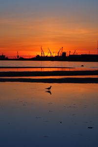 Preview wallpaper coast, sea, bird, silhouette, dawn, dark