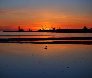 Preview wallpaper coast, sea, bird, silhouette, dawn, dark