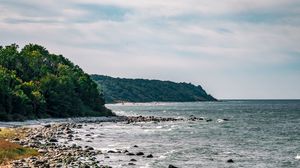 Preview wallpaper coast, sea, bushes, slope, sky