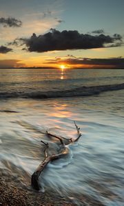 Preview wallpaper coast, sea, clouds, sun, sunset