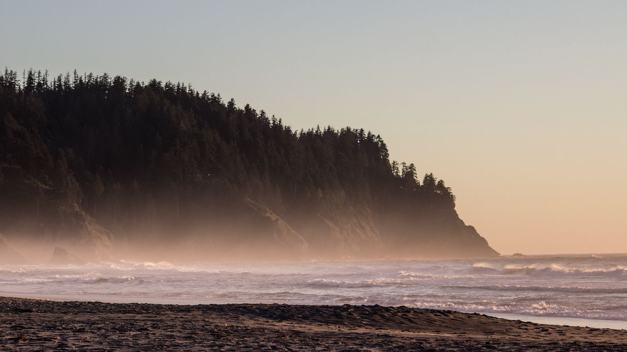 Wallpaper coast, sea, hill, trees, nature