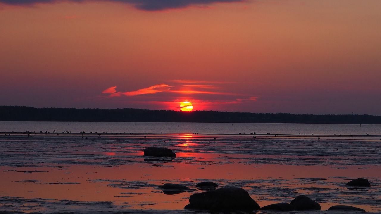 Wallpaper coast, sea, horizon, sun, sunset, dark