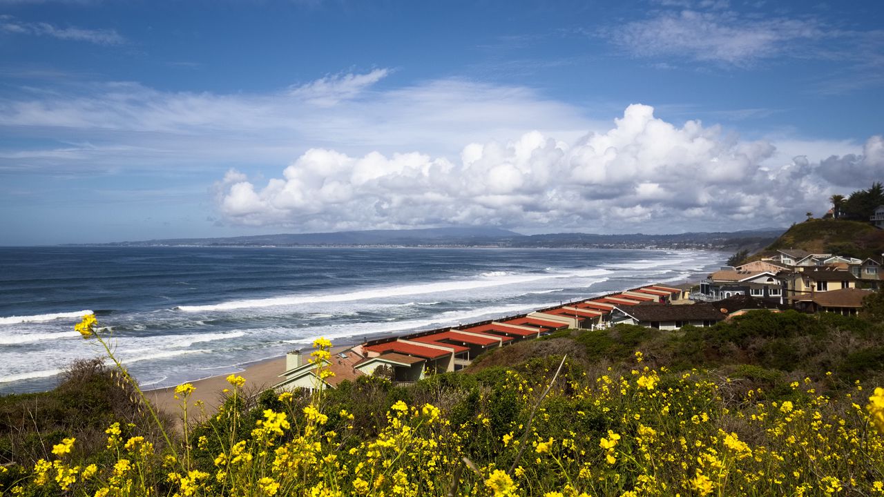 Wallpaper coast, sea, houses, flowers, nature