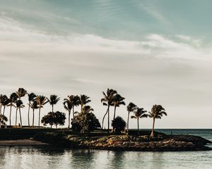 Preview wallpaper coast, sea, palm trees, trees, landscape