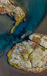 Preview wallpaper coast, sea, relief, reef, corals, top view, nature