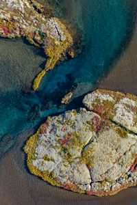 Preview wallpaper coast, sea, relief, reef, corals, top view, nature