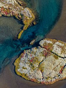 Preview wallpaper coast, sea, relief, reef, corals, top view, nature