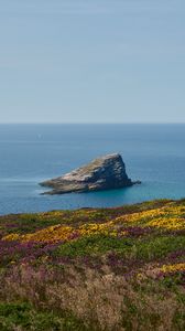 Preview wallpaper coast, sea, rock, grass, flowers, nature