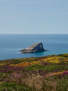 Preview wallpaper coast, sea, rock, grass, flowers, nature