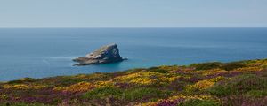 Preview wallpaper coast, sea, rock, grass, flowers, nature